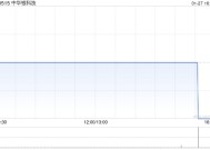 中华银科技完成发行1606.6万港元的可换股债券