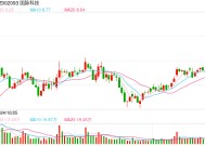 应用场景愈发广泛 AI养老赛道获关注