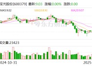 宝光股份：预计2024年净利润同比增加27.85%