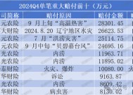 2024Q4重大赔付金额超35亿！国元、英大、阳光、华泰、中华财险列赔金Top10