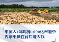 中国人1年吃掉1000亿根薯条，内蒙小城在背后赚大钱