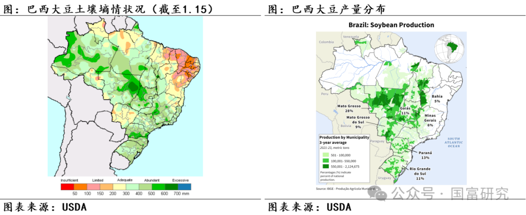 【USDA】1月报告：美豆单产下调超预期，南美大豆丰产压制美豆价格上行